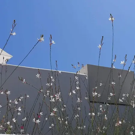 Psathaki Apartahotel