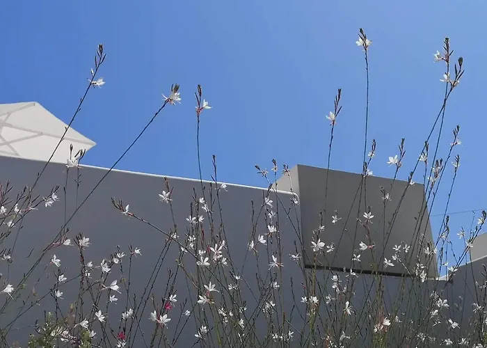 Psathaki Hotel apartamentowy